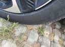 米其林（MICHELIN）汽车轮胎 215/55R17 94V 耐越 ENERGY MILE 适配秦PLUS/探歌/缤智 实拍图