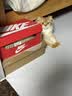 皇家猫粮 成猫猫粮 营养均衡 F32 通用粮 1-7岁 4.5KG 实拍图