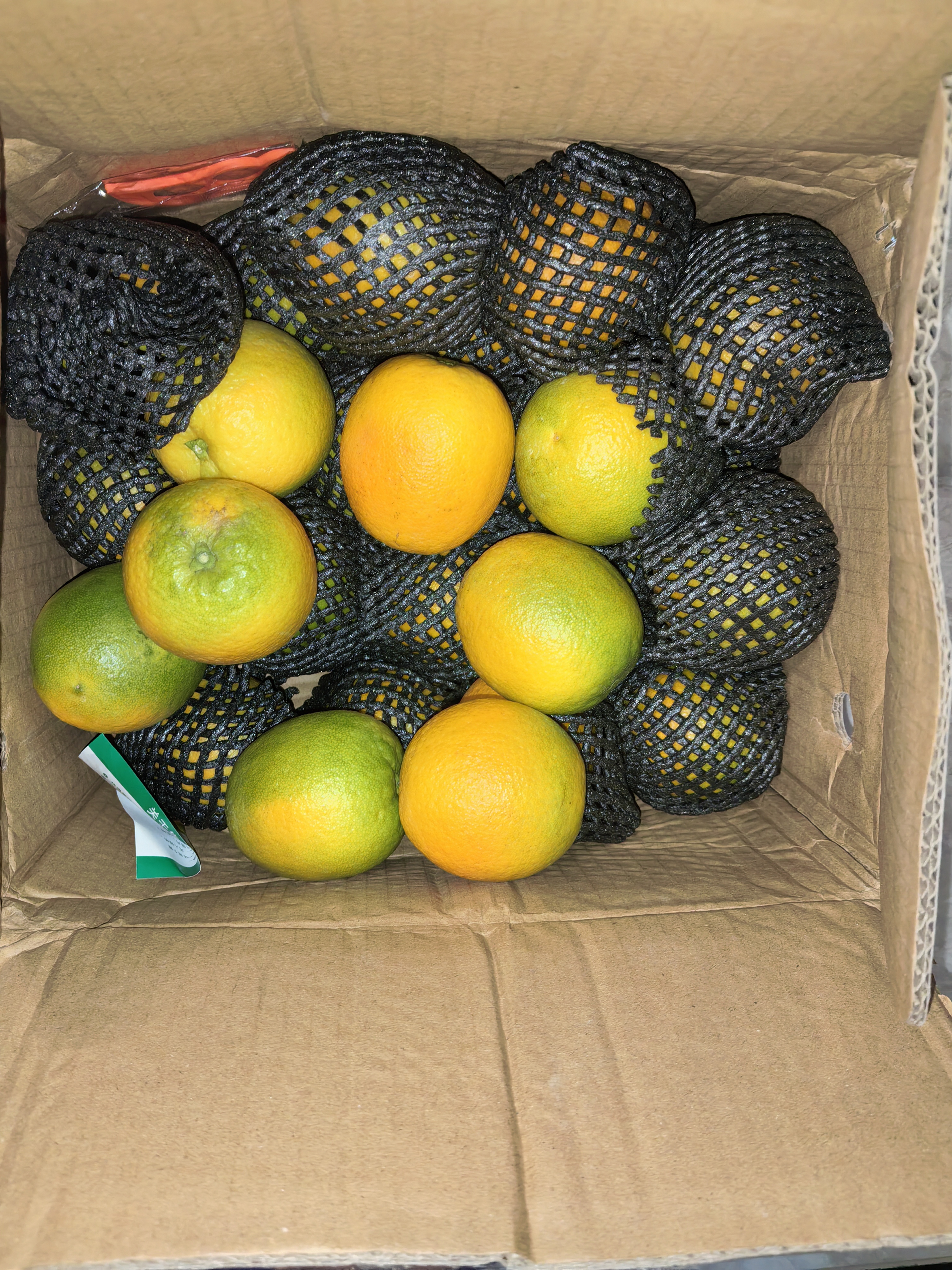 玖原农珍 赣南脐橙新鲜橙子含箱10斤净重9斤优选果160-350g 水果礼盒 实拍图