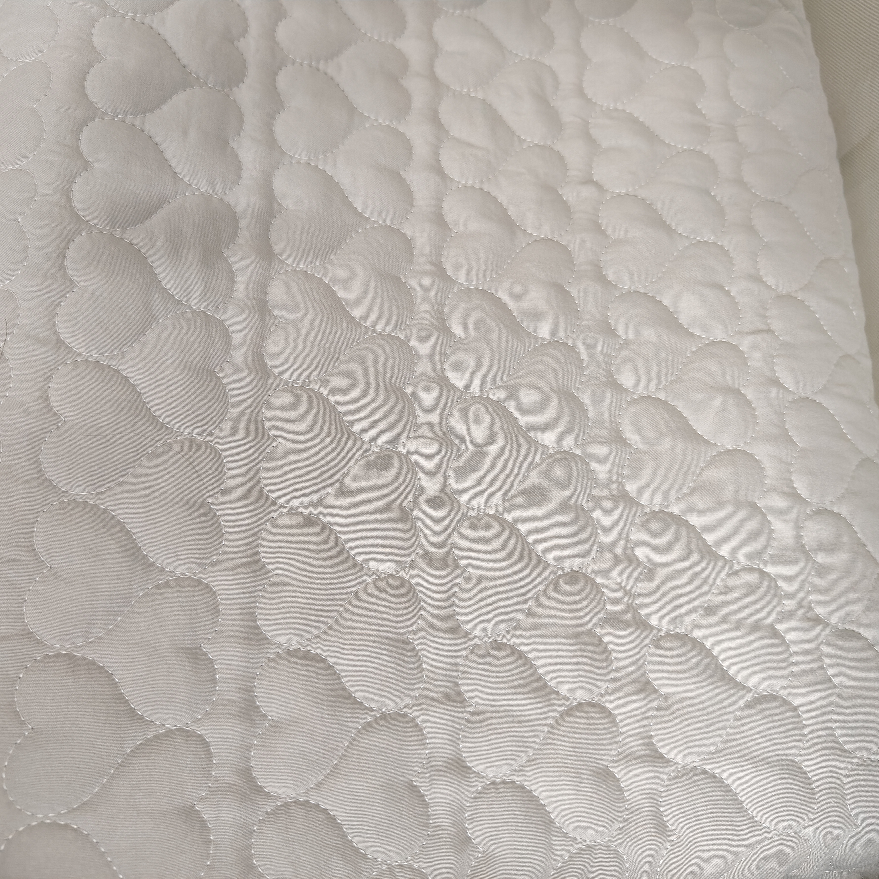 无印良品A类夹棉枕套枕芯隔离层家用防头油隔脏枕头套48x74cm单只装 实拍图