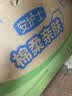 安护士棉柔亲肤成人拉拉裤M36片*2包  臀围80-105cm内裤型纸尿裤尿不湿 实拍图