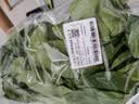 上海青约500g(油菜) 实拍图