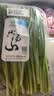 小汤山 韭菜 250g 基地直供新鲜蔬菜GAP认证 实拍图