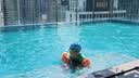 swimbobo儿童游泳臂圈游泳圈 游泳手臂圈浮力袖儿童游泳装备臂圈橙色 实拍图