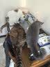 伯纳天纯冻干双拼猫粮生鲜三种鱼深海御鲜三文鱼美毛猫粮11kg囤货装 实拍图