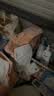 大王光之羽系列环贴式婴儿纸尿裤XL28片(12-17kg)尿不湿 超薄透气 实拍图