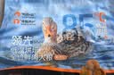 领先低温烘焙狗粮试吃鸭肉梨中大型犬无谷100g（新老包装随机发） 实拍图