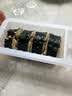 必品阁金枪鱼沙拉酱紫菜包饭卷230g  学生儿童早餐饭团寿司懒人速食微波 实拍图