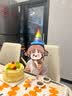 多美忆生日帽生日场景布置生日道具氛围派对装饰卡通生日帽+眼镜+吹龙 实拍图
