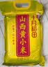 十月稻田 山西黄小米 5斤 真空袋装 山西特产 小米黄小米 杂粮早餐粥 实拍图