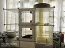 蔻丝猫笼子家用室内猫窝带厕所一体猫别墅四季通用2026新款自营明日达 实拍图