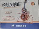 若客（ROKR）绮梦大提琴 八音盒音乐盒积木拼图diy手工木质拼装模型生日礼物 实拍图