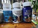 派迪诺狗狗营养美毛补钙套装维生素片200片鱼油片200片软骨素钙片200片 实拍图