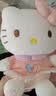 Hello Kitty三丽鸥毛绒玩具玩偶布娃娃抱枕摆件生日礼物送女生女孩凯蒂猫公仔 实拍图