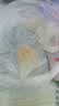 广州酒家虾饺480g 24只 水晶虾饺皇饺子开学季早餐半成品广式早茶预制菜 实拍图