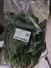 大菠菜300g 实拍图