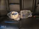 小熊（Bear）全玻璃养生壶 纯玻璃煮茶壶恒温壶 母婴多功能炖煮花茶壶烧水壶 1.5L YSH-H15L2 实拍图