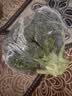 西兰花约500g 实拍图