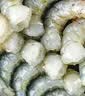 新虹宝黑虎虾仁200g（18-22粒） 实拍图