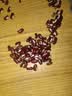 赤小豆 农家去湿气红豆薏仁五谷杂粮粗粮豆类煮粥 优选赤小豆500g 实拍图