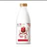 光明 致优 4.0娟姗牛鲜牛奶 800ml*1瓶  家庭装鲜奶 低温奶 定期购 实拍图