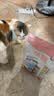 优趣猫粮全价粮通用成猫幼猫粮成年猫高蛋白营养天然英短蓝猫 p40深海鳕鱼猫粮1.5kg*2袋 实拍图