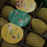 佳沛（zespri）新西兰金奇异果10个装单果重103-114g猕猴桃中秋节礼品送水果礼盒 实拍图