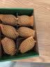 佳沛（zespri）新西兰阳光金奇异果6粒装88-103g猕猴桃水果中秋节礼品送水果礼盒 实拍图