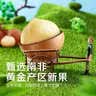 洽洽京觅夏威夷果原味罐装618g 办公室休闲零食干果坚果炒货 实拍图