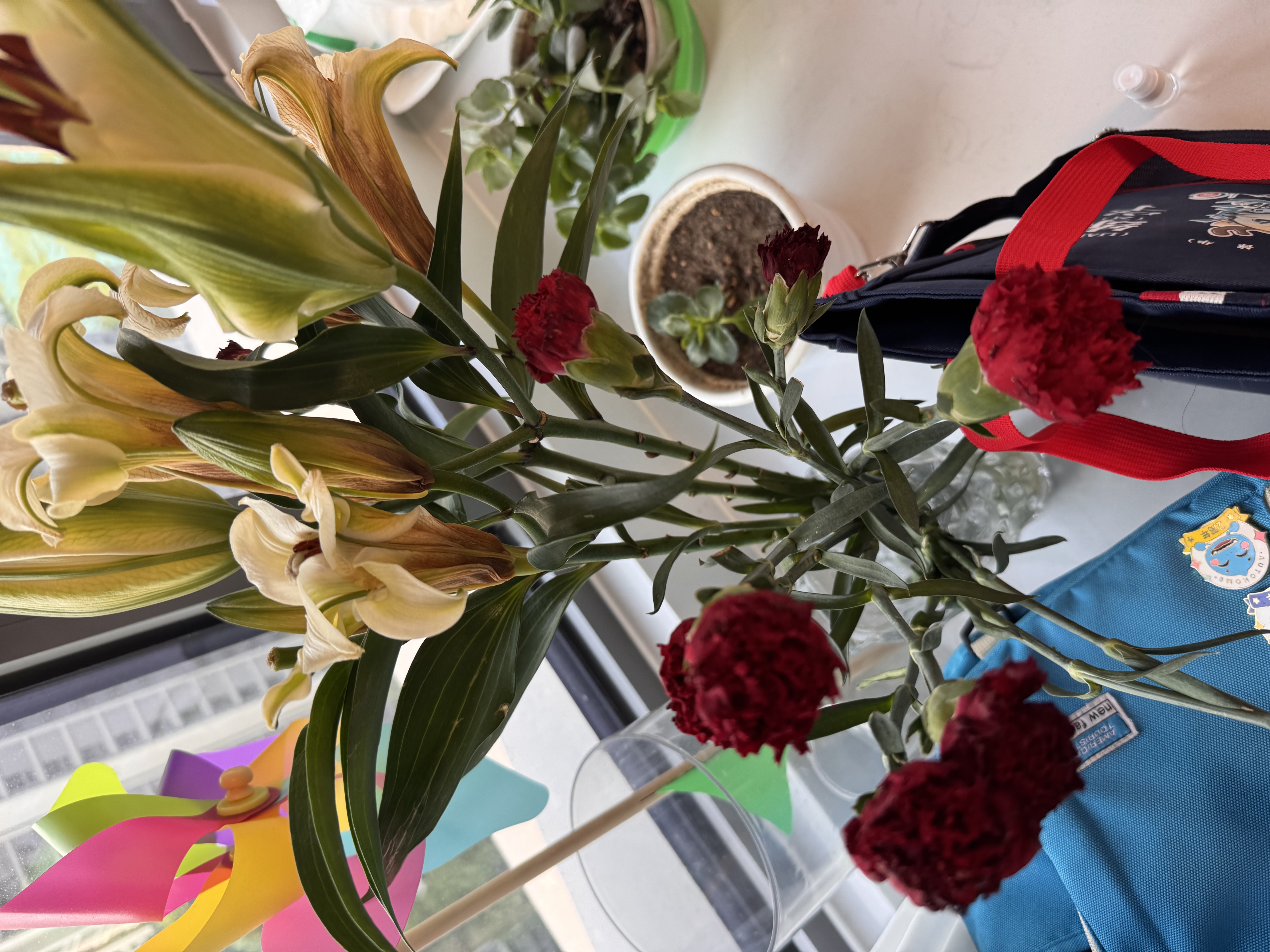 单头康乃馨随机色10枝（花苞发货） 教师节礼物送老师 实拍图