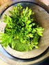 封茗【生命之树】生态瓶苔藓微景观青苔造景缸植物办公室绿植桌面盆栽 生命之树微景观(烟灰款) 实拍图