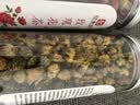 印象堂茶叶新茶胎菊菊花茶礼品玫瑰花茶组合装花草茶2罐装130g养生茶 实拍图