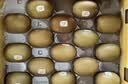 佳沛（zespri）金奇异果25-27粒原箱特大果124-146g猕猴桃水果礼盒 实拍图
