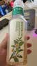 农夫山泉【新口味】东方树叶陈皮白茶500ml*15瓶无糖茶饮料0糖0脂0卡 实拍图