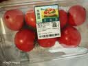 【水果菜】童年味道西红柿约1kg 实拍图