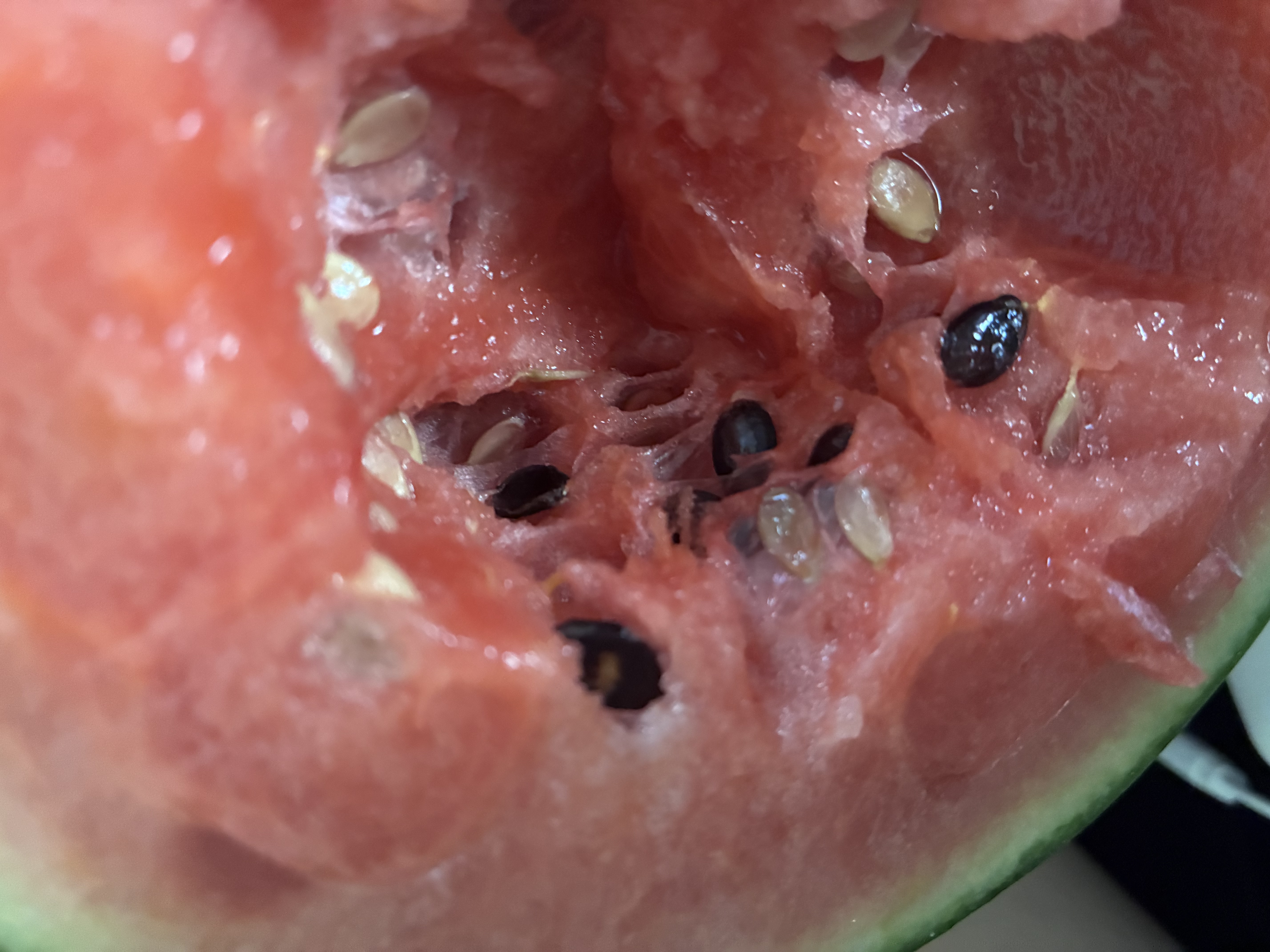 手剥皮小西瓜2K小糖丸西瓜新鲜水果薄皮西瓜脆甜手撕红肉甜瓜整箱 小糖丸2-3斤(1-2粒) 实拍图