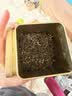 张一元金罐特种茉莉花茶叶毛尖浓香型2026新茶冷泡春茶200g中秋礼盒礼品 实拍图