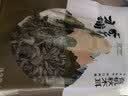 方家铺子中华老字号有机秋木耳150g黑木耳肉厚无根小秋耳特级 实拍图