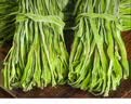 相遇红颜贡菜250g特级 云南大理特产苔菜干 农家脱水蔬菜凉拌火锅南北干货 实拍图