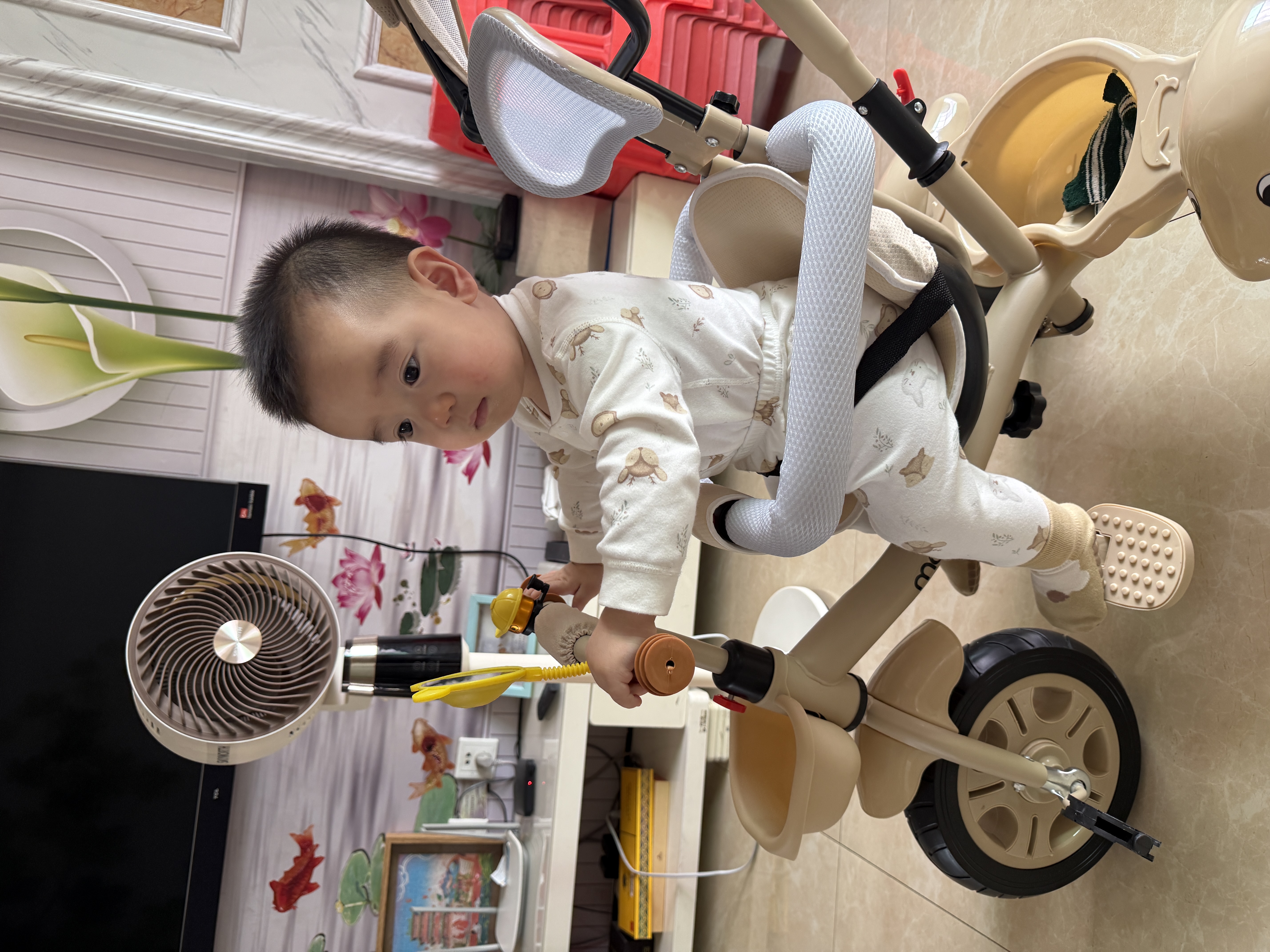 儿童三轮车婴儿手推车幼儿脚踏车1-3-5岁小孩童车自行车 香槟色 钛空轮 全蓬款 实拍图