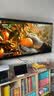 东芝电视Z500QF-R 55英寸 Mini LED控光 144Hz 3+64GB 火箭炮音响 4K超清 家电国家补贴 实拍图