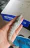 GUO LIAN国联 国产盐冻大虾 无冰净重3斤特大号45-60只白对虾生鲜海鲜中秋 实拍图