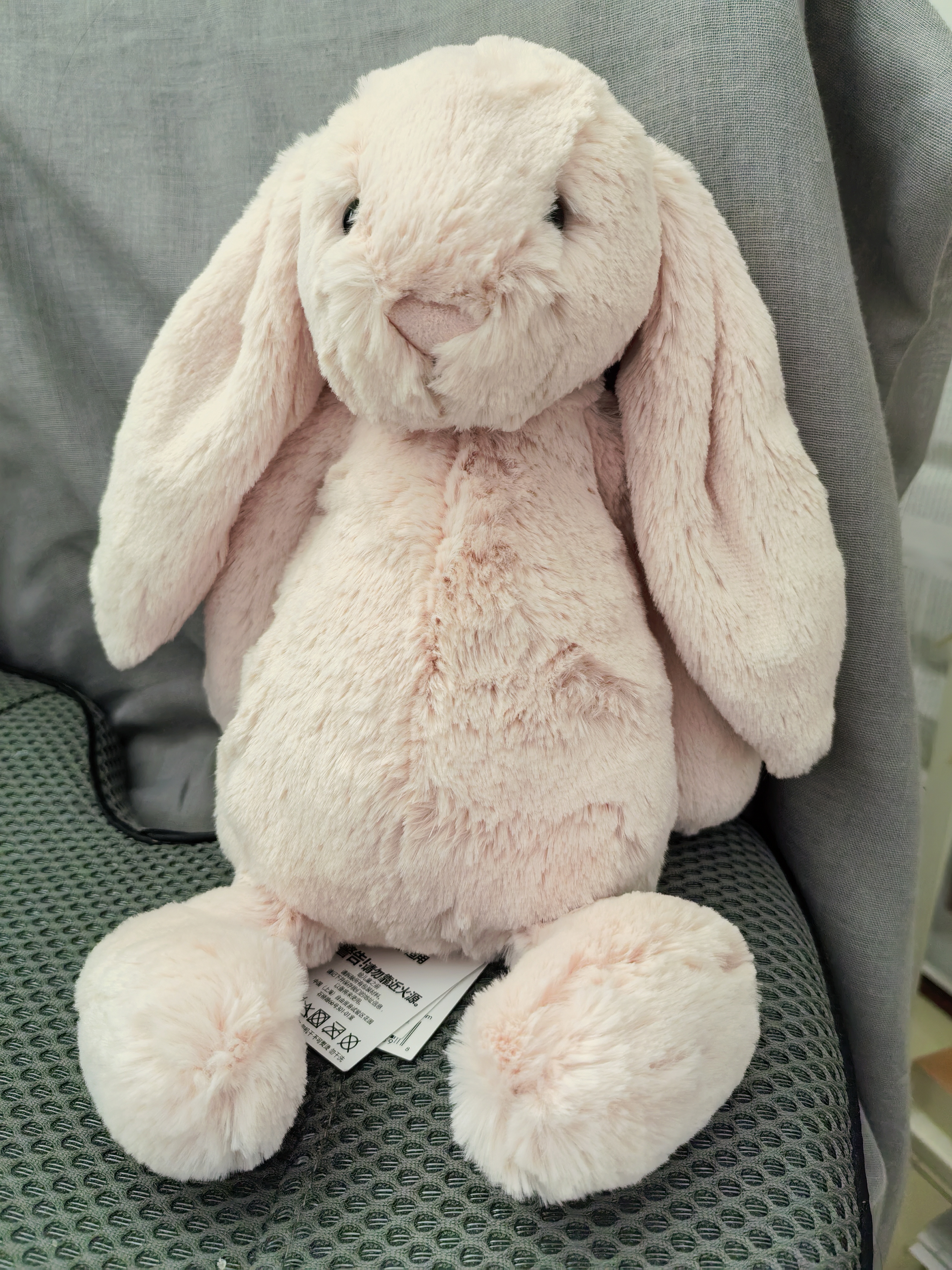 Jellycat害羞乳白色邦尼兔动物毛绒玩偶安抚玩偶娃娃送礼生日礼物 害羞胭脂粉色邦尼兔 Medium 实拍图
