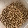 皇家猫粮 绝育成猫粮 SA37通用粮1-7岁4.5KG 实拍图