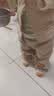 心楠男童长袖卫衣套装2026新款宝宝秋冬衣服婴儿童春秋季两件套小孩潮 藏青色上衣+裤子套装 常规 90 (S) 实拍图