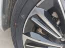 双星汽车轮胎 215/55R17 98V DH16S 原配奇瑞风云A8 适配迈腾/XR-V 实拍图