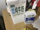 蒙牛低脂高钙牛奶250ml*21盒 早餐健身伴侣 礼盒装送礼礼盒 实拍图