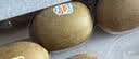佳沛（zespri）新西兰阳光金奇异果6粒装88-103g猕猴桃水果中秋节礼品送水果礼盒 实拍图