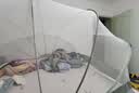 梦多福A类免安装防摔折叠蚊帐架1.8x2m卧室家用母婴级蚊帐【加密网眼】 实拍图