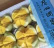 广州酒家牛奶馒头600g*2袋48个奶香馒头开学季儿童早餐半成品牛乳馒头 实拍图